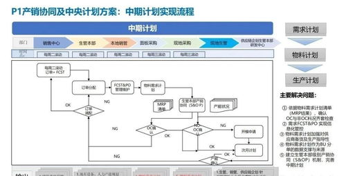企业关键业务流程与信息系统集成服务 战略规划、产品开发、物料采购与产销协同