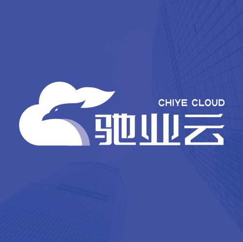 河北驰业云网络技术 领航信息系统集成，赋能数字化未来